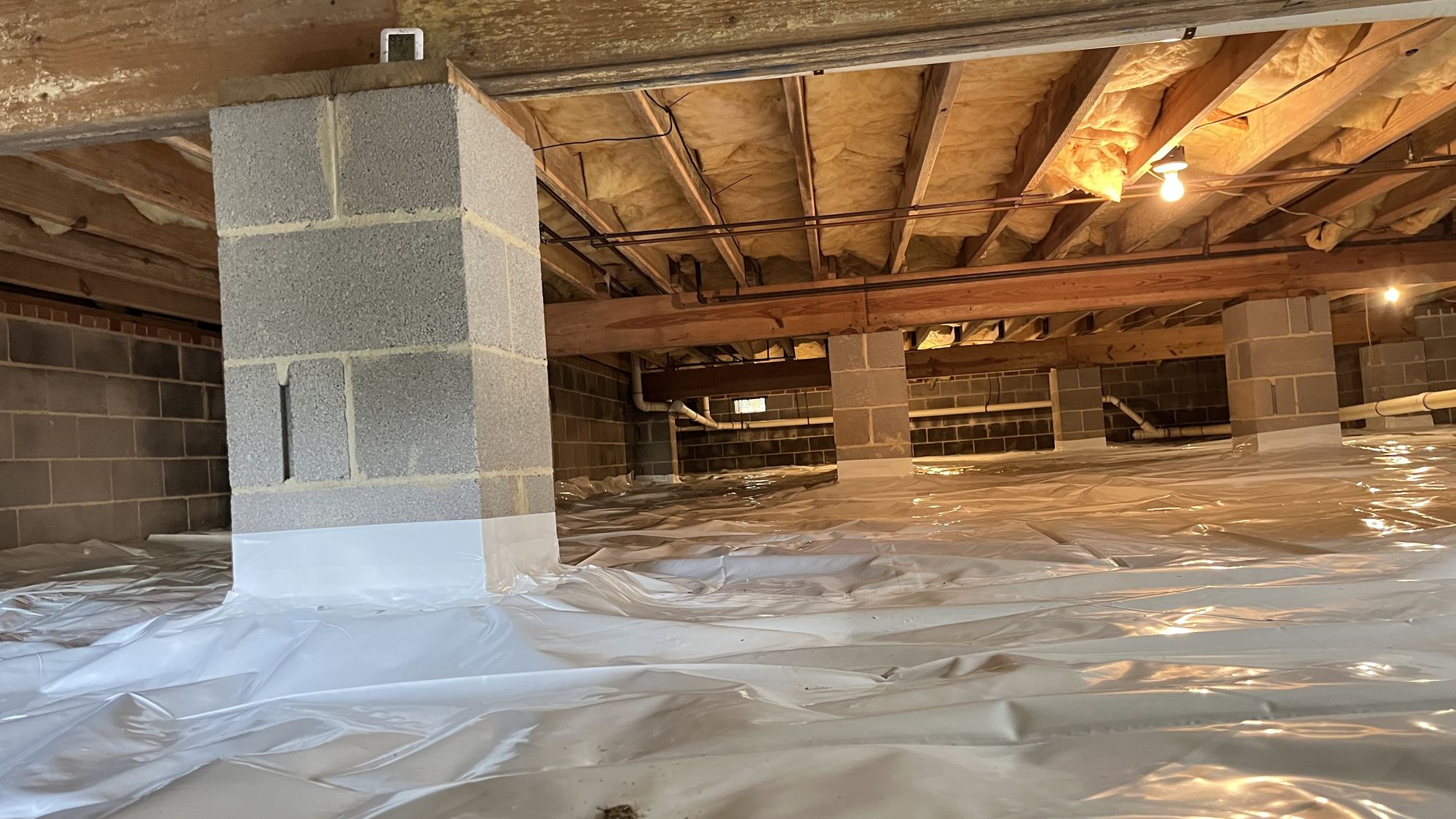 Inspections & Maintenance