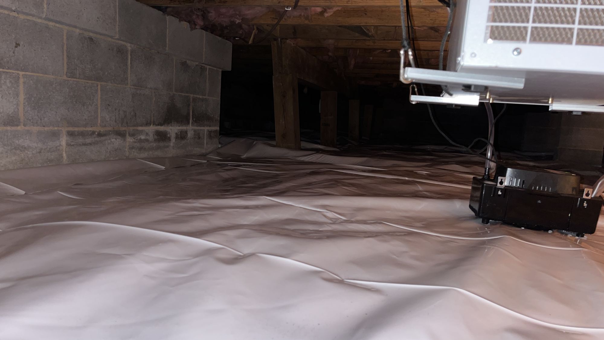 Moisture & Mold Control